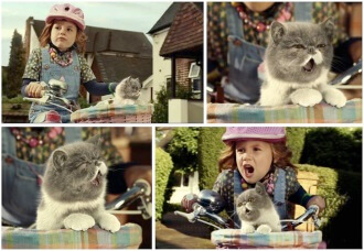 5 брендов, преуспевших в сторителлинге