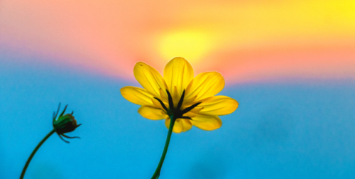 Важная рассылка Лайкни. Выпуск 3