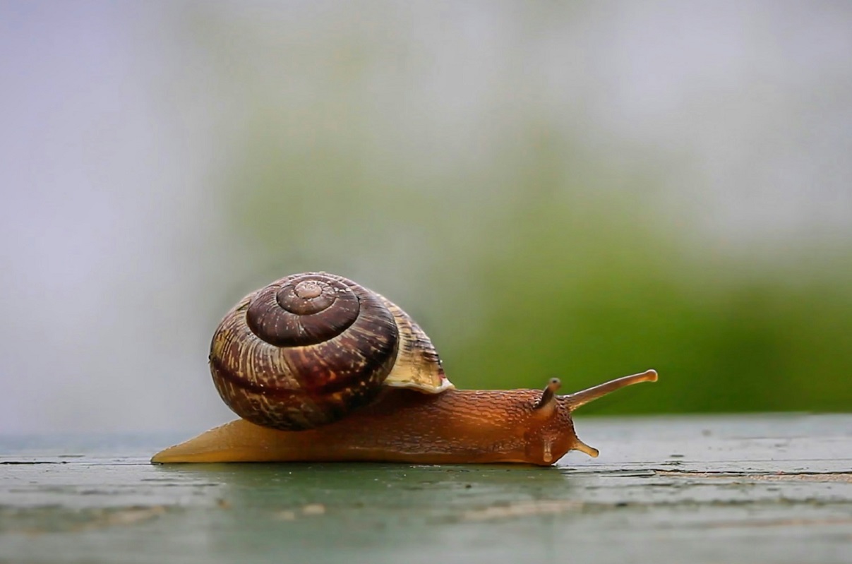 Российский рынок инфлюенс-маркетинга может сократиться на 15% по итогам 2025 года