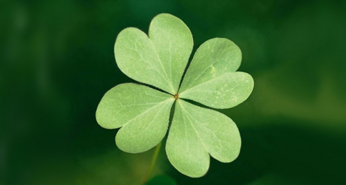 ВКонтакте запустил онлайн-игру с призовым фондом 1 млн рублей