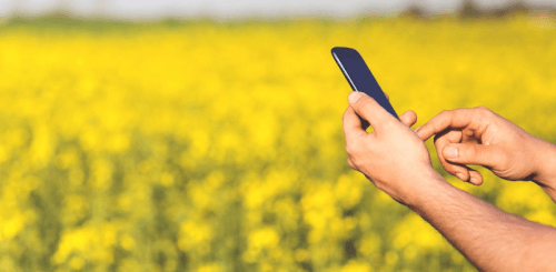 Стоит ли медиа бояться мессенджеров