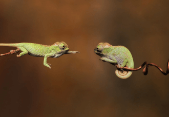 Когда френдзона – это ваша цель! Или как найти клиентов, не потратив ни копейки?