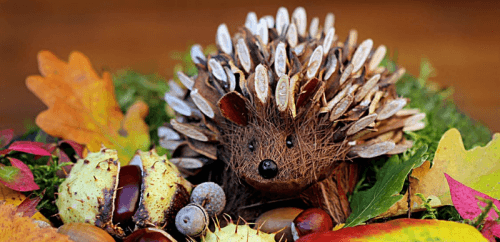 Куда пойти учиться в сентябре?