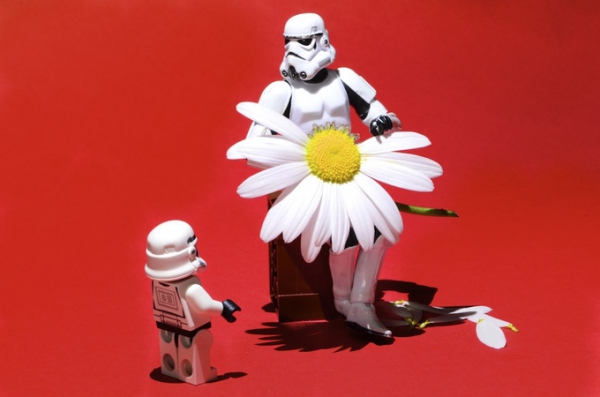 Ringostat объявляет голосование за агентства контекстной рекламы