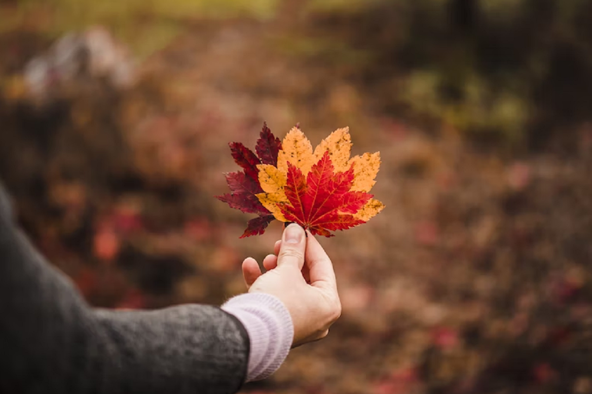 Важное за неделю: масштабное обновление Одноклассников и новый iPhone 14