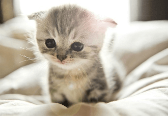 Что случилось, пока вы отдыхали 2015