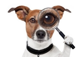 Потребительские траты на digital-контент в мире достигли $57 млрд.   Потребительские траты на digital-контент в мире достигли $57 млрд.