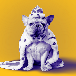 Рейтинг Известности SEO-сервисов: голосование открыто