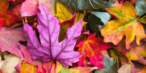 Важное за неделю: все о рекламе в Instagram и новом дизайне Facebook