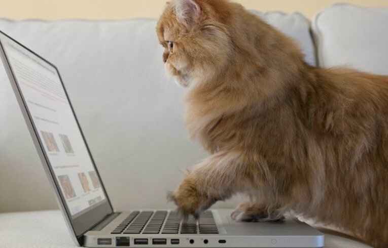 Facebook формирует новостную ленту «вручную»