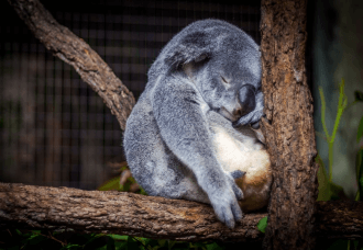 3 причины, почему ночевать на работе не круто