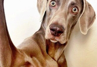 Селфи на миллиард