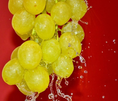 5 любопытных форматов digital-контента