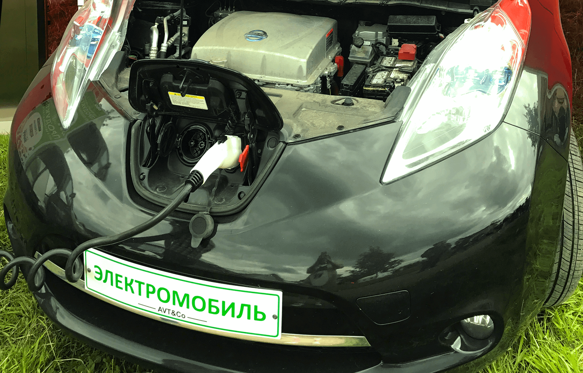 geek_4.png geek_4.png