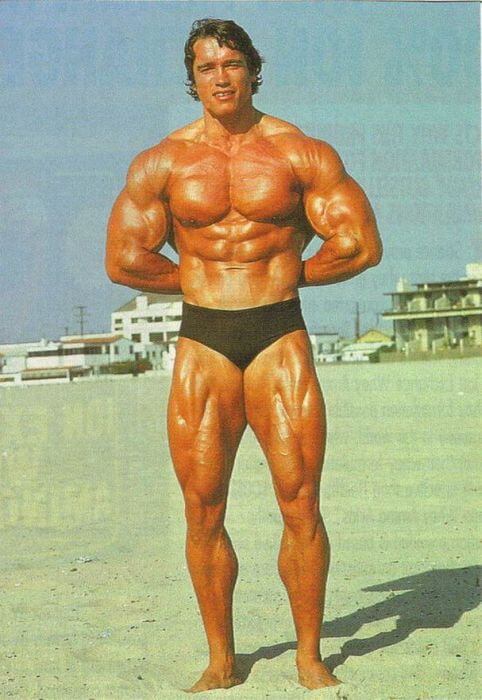schwarzenegger_17.jpg schwarzenegger_17.jpg