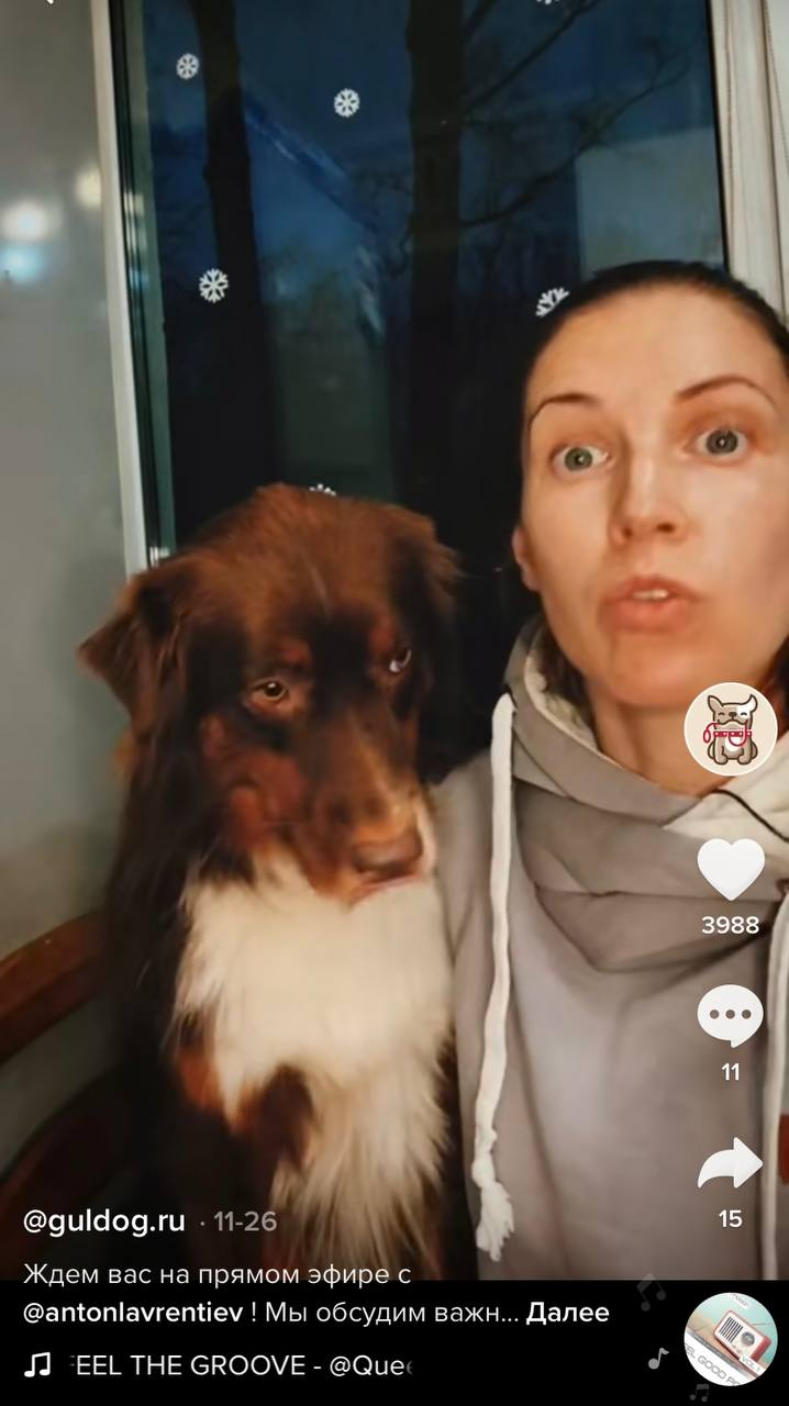 Прямой эфир