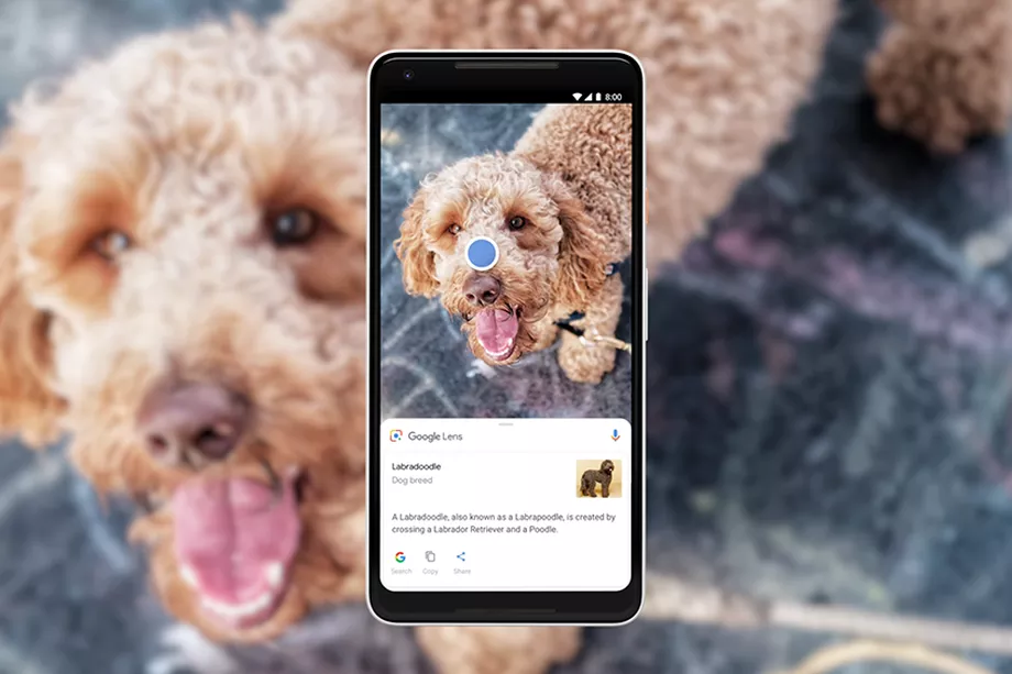 Google Lens научился распознавать более 1 млрд объектов Google Lens научился распознавать более 1 млрд объектов