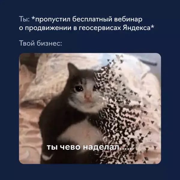 Использование мемов в продвижении брендов