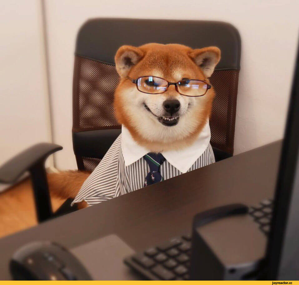 4 мифа о сквозной аналитике Мифы и правда о сквозной аналитике