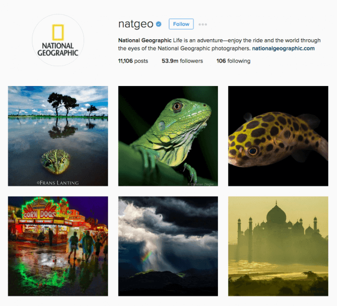 NatGeo_-662x601.png NatGeo_-662x601.png