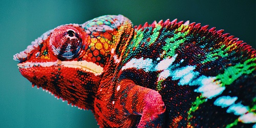 Какого цвета самоизоляция, или Что нужно знать о психологии цвета в рекламе Какого цвета самоизоляция, или Что нужно знать о психологии цвета в рекламе