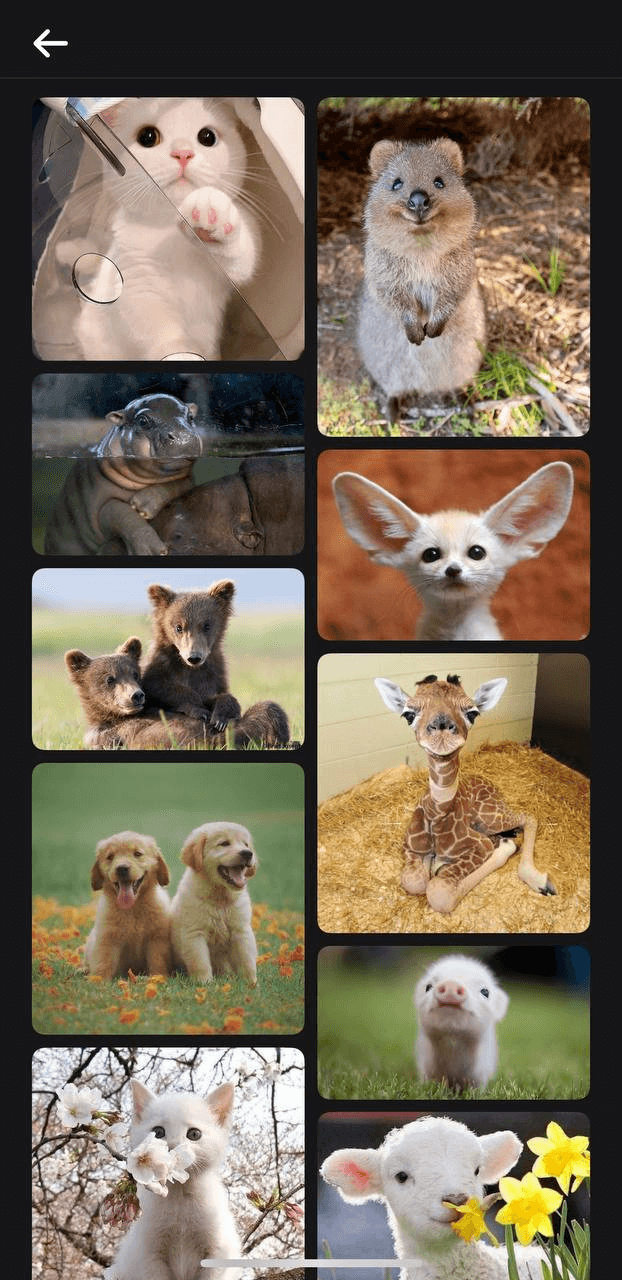 Социальная сеть Dispo