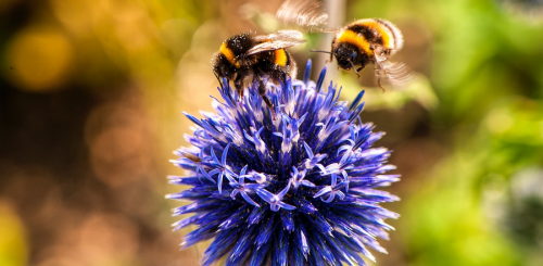 10 приемов, которые помогут увеличить продажи с рекламы в Facebook 10 приемов, которые помогут увеличить продажи с рекламы в Facebook