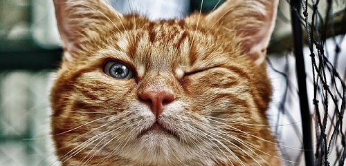 Как увеличить вовлеченность постов в Instagram: 20 простых советов