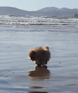 Подведение итогов работы за месяц