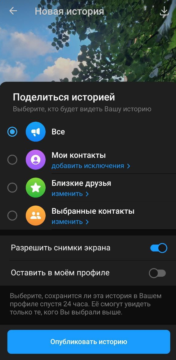 Stories в Telegram, настройки Stories в Telegram, настройки