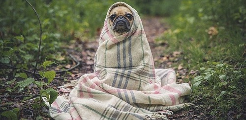 Как работать с удаленными сотрудниками Как работать с удаленными сотрудниками