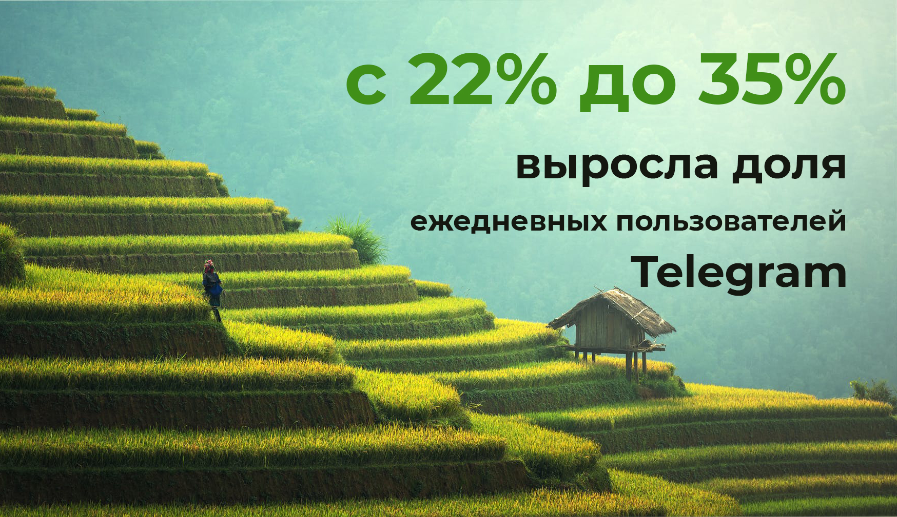 Доля ежедневных пользователей Telegram Доля ежедневных пользователей Telegram