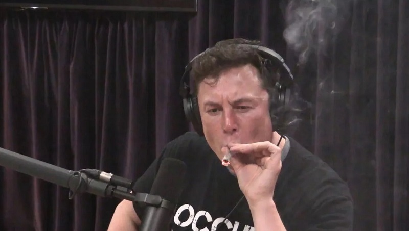Илон Маск в прямом эфире