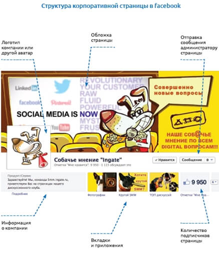 Безымянный.jpg Безымянный.jpg