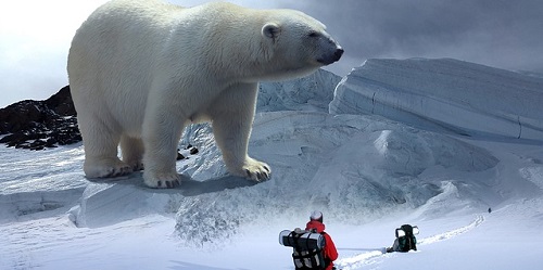 Размеры изображений в соцсетях: актуальный гид на 2020 год Размеры изображений в соцсетях: актуальный гид на 2020 год