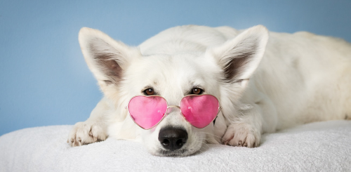 Контент-стратегия: как правильно начать продвижение в соцсетях Контент-стратегия: как правильно начать продвижение в соцсетях