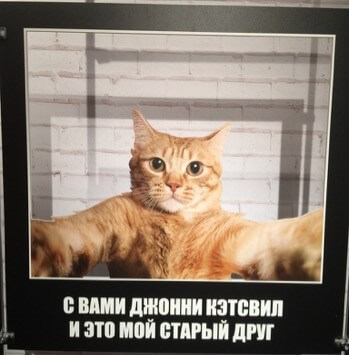 7.jpg 7.jpg