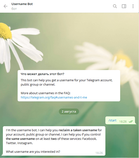 Новый бот Telegram Бот, который позволяет забрать любой юзернейм в Telegram