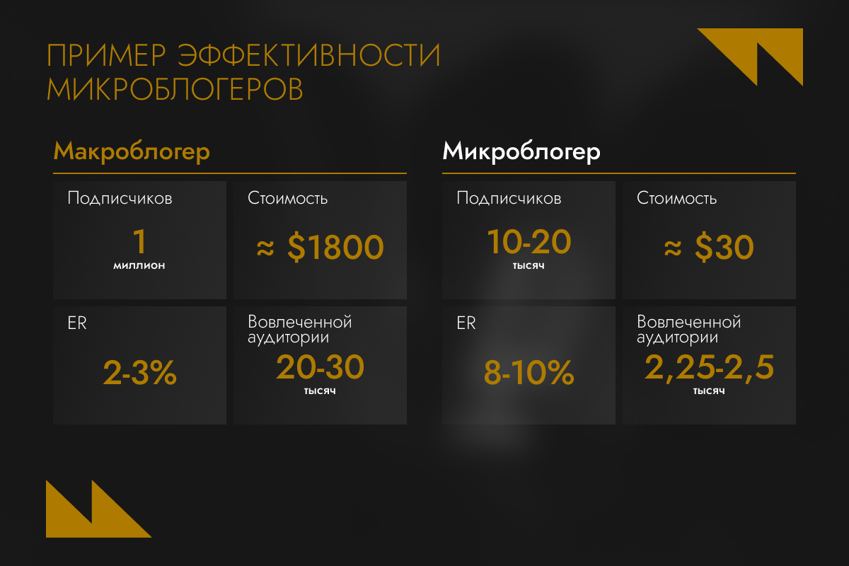 Пример эффективности микроблогеров Пример эффективности микроблогеров