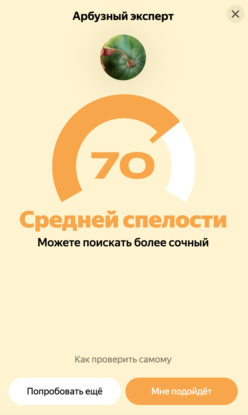 Арбузный эксперт