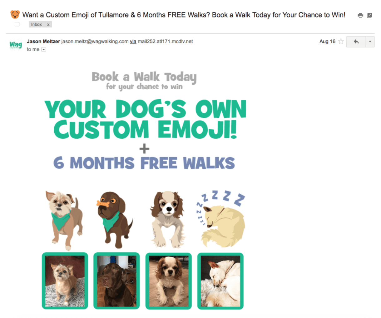 email_6.png email_6.png