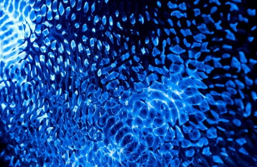 Видеокурс по рекламе в TikTok Видеокурс по рекламе в TikTok