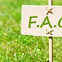 Instagram тестирует функцию FAQ в директе для бизнес-аккаунтов Instagram тестирует функцию FAQ в директе для бизнес-аккаунтов