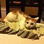 В 2013 бюджеты на digital в России составят $2 млрд. В 2013 бюджеты на digital в России составят $2 млрд.