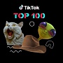 100 самых популярных роликов TikTok в 2019 году 100 самых популярных роликов TikTok в 2019 году