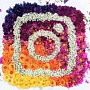 В «историях» Instagram появился стикер с тестами В «историях» Instagram появился стикер с тестами