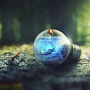 Важное за неделю: дни рождения соцсетей и мошенники в Zoom Важное за неделю: дни рождения соцсетей и мошенники в Zoom