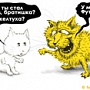 Футубра «идет» тебя искать