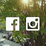 Facebook запустил плеер для рекламы Canvas Facebook запустил плеер для рекламы Canvas