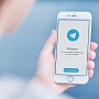 В Telegram появились групповые звонки В Telegram появились групповые звонки